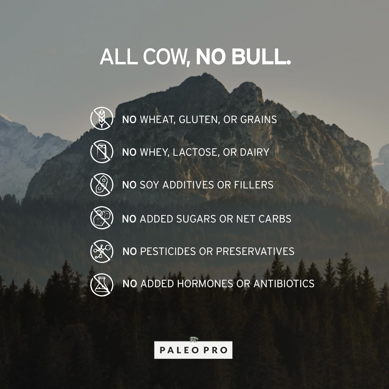 PaleoPro Protein Powder, Gluten Free, Dairy Free, Soy Free, Hormone-Free Beef, Minimally Processed Paleo Ingredients, 1lb, Mayan Mocha Flavor