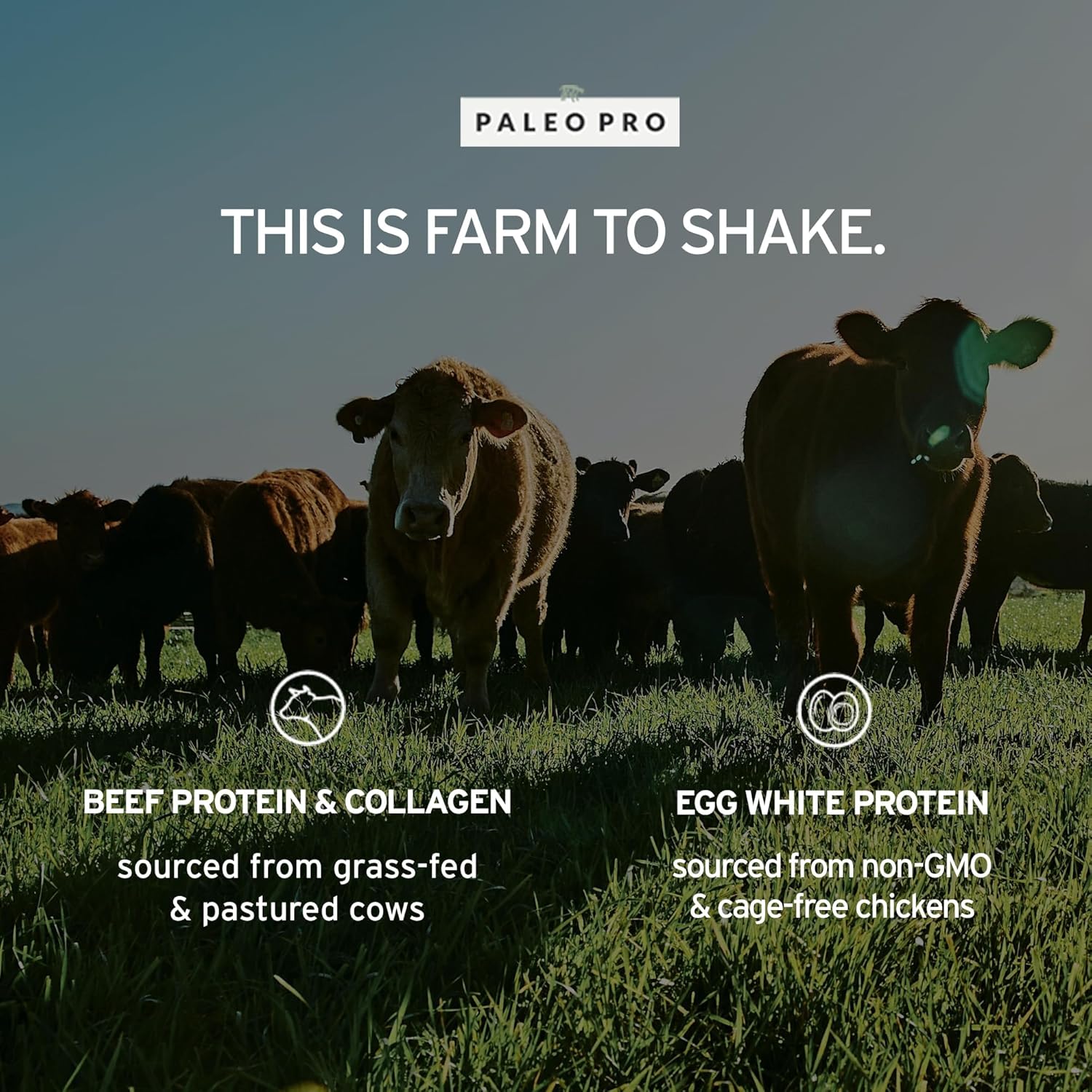 PaleoPro Protein Powder, Gluten Free, Dairy Free, Soy Free, Hormone-Free Beef, Minimally Processed Paleo Ingredients, 1lb, Mayan Mocha Flavor