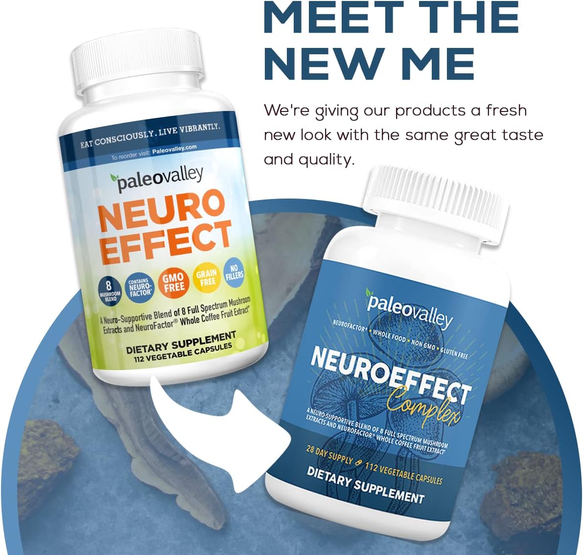 Paleovalley NeuroEffect: Focus, Memory, and Energy Support Supplement with 8 Mushroom and Coffee Fruit Extracts - 28-Day Supply