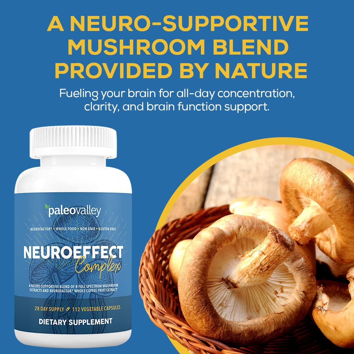 Paleovalley NeuroEffect: Focus, Memory, and Energy Support Supplement with 8 Mushroom and Coffee Fruit Extracts - 28-Day Supply