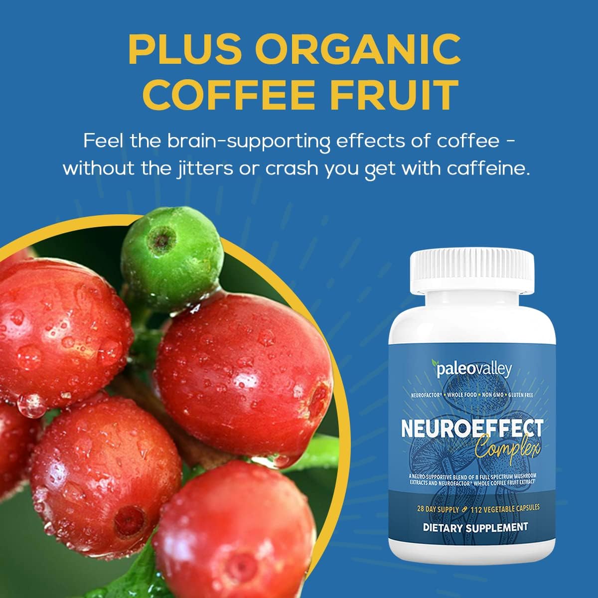 Paleovalley NeuroEffect: Focus, Memory, and Energy Support Supplement with 8 Mushroom and Coffee Fruit Extracts - 28-Day Supply
