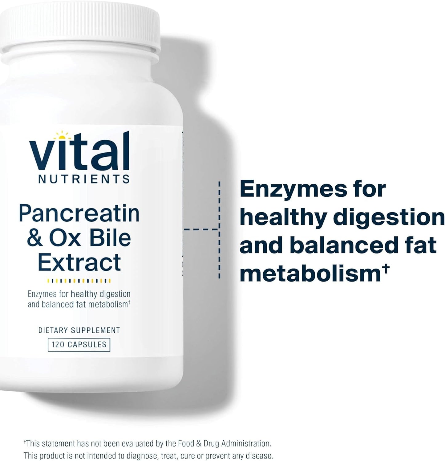 Pancreatin & Ox Bile Extract 500mg Capsules | Natural Digestive Enzymes for Protein, Fat, Carbs | Supports Men & Women | Gluten, Dairy, Soy Free | 120ct