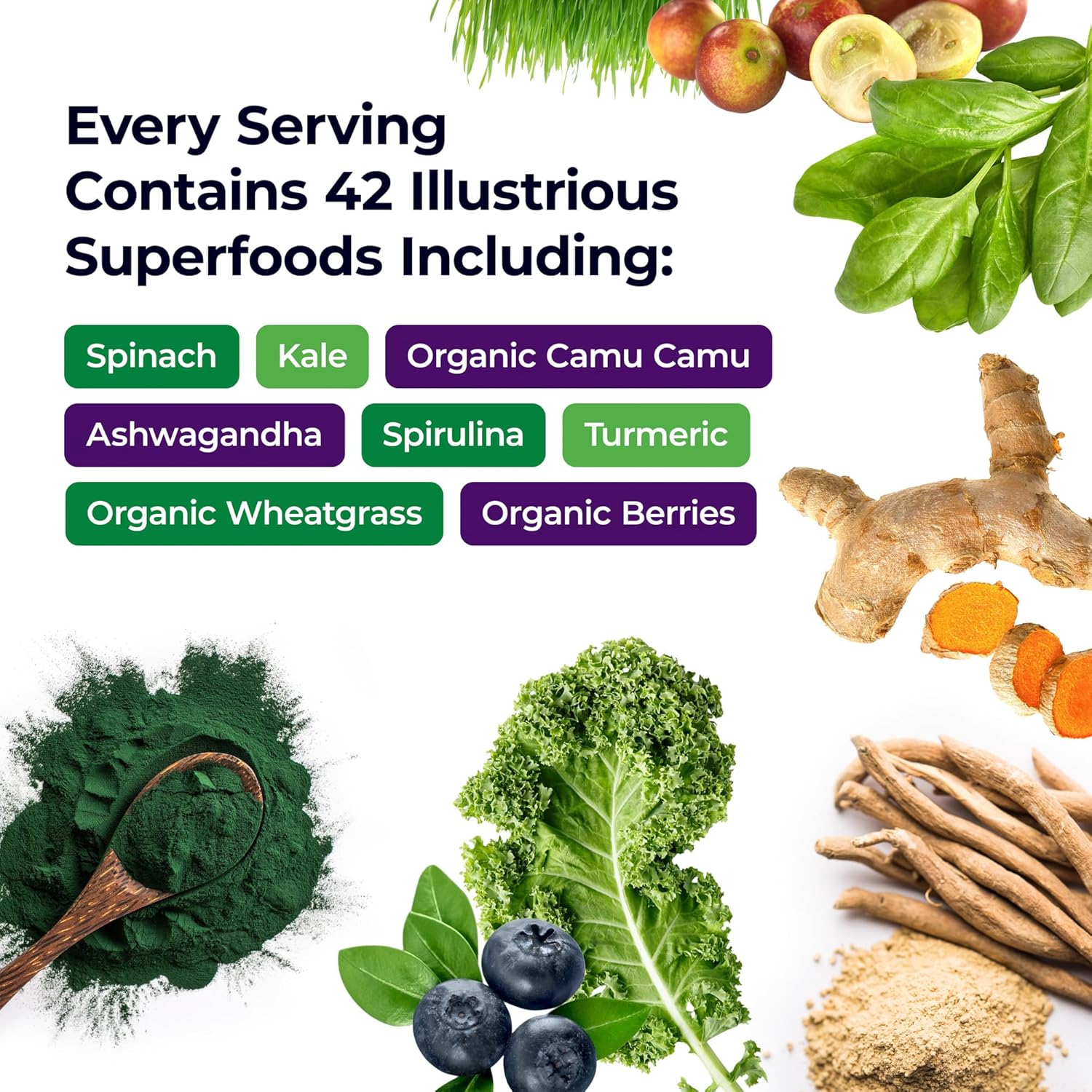 Paradise Herbs ORAC Energy Superfood Capsules with 42+ Organic Ingredients, Probiotics & Enzymes - 120 Count