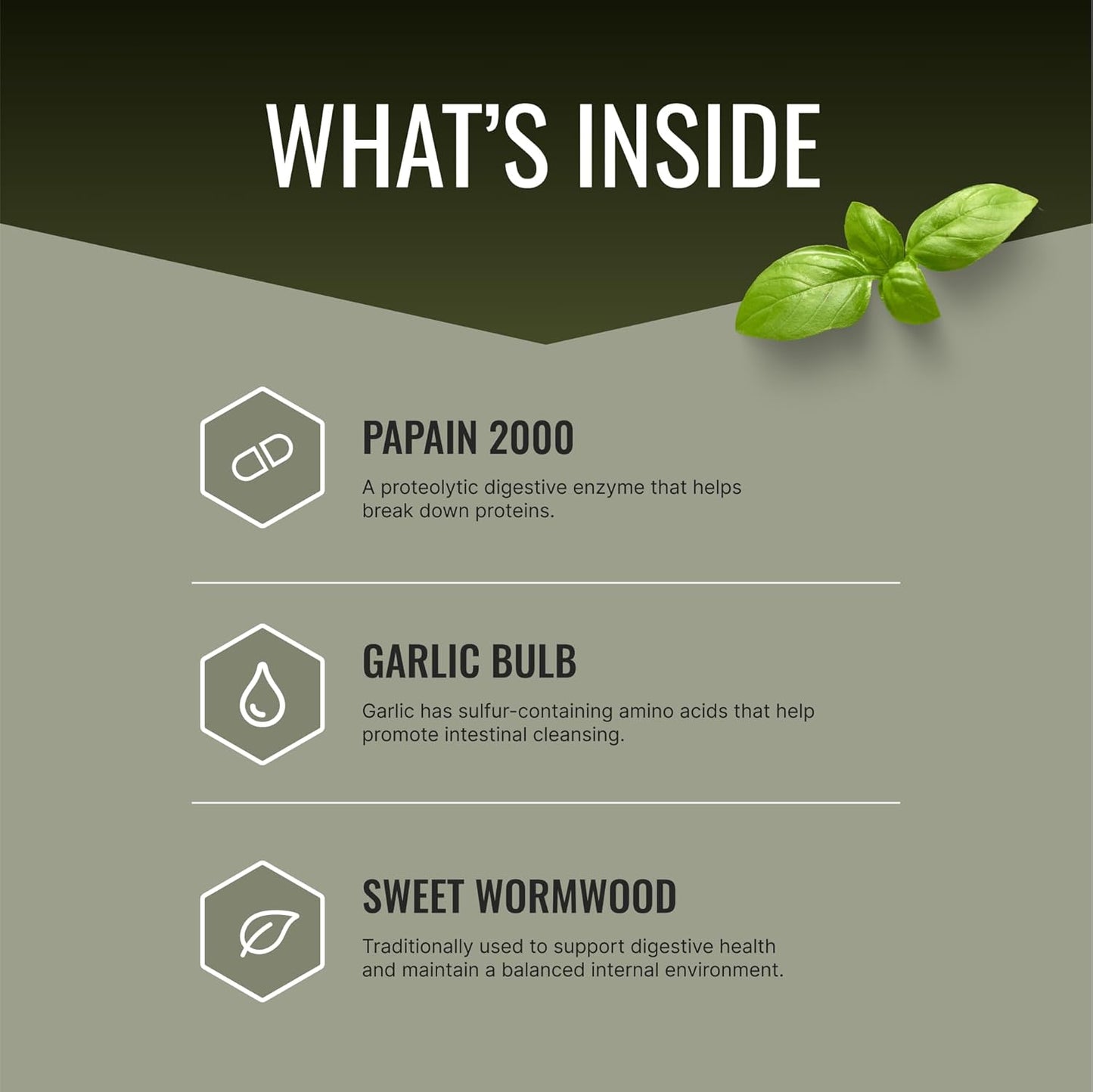 Parastrin Supplement - 60 Capsules with Black Walnut, Garlic Bulb, Papain 2000, BioPerine - Vegan Formula by Approved Science