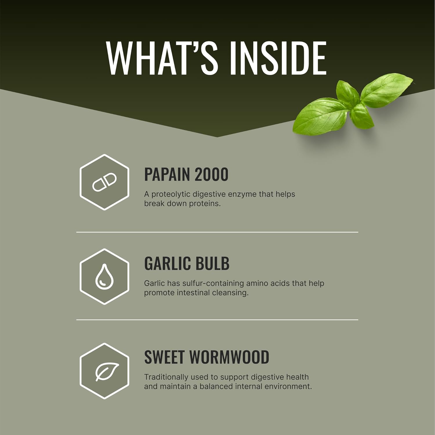 Parastrin Supplement - 60 Capsules with Black Walnut, Garlic Bulb, Papain 2000, BioPerine - Vegan Formula by Approved Science