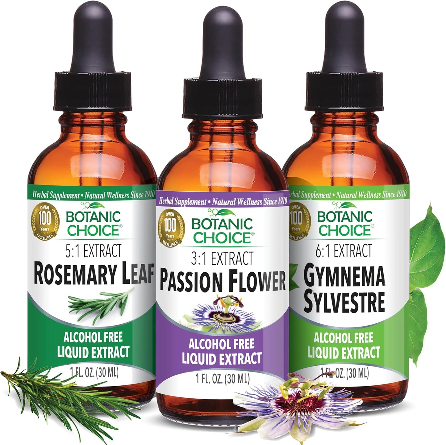 Passion Flower, Rosemary Leaf, & Gymnema Sylvestre Extracts Bundle for Daily Wellness - Sleep, Immune Support, Focus - 1 fl. Oz. Each