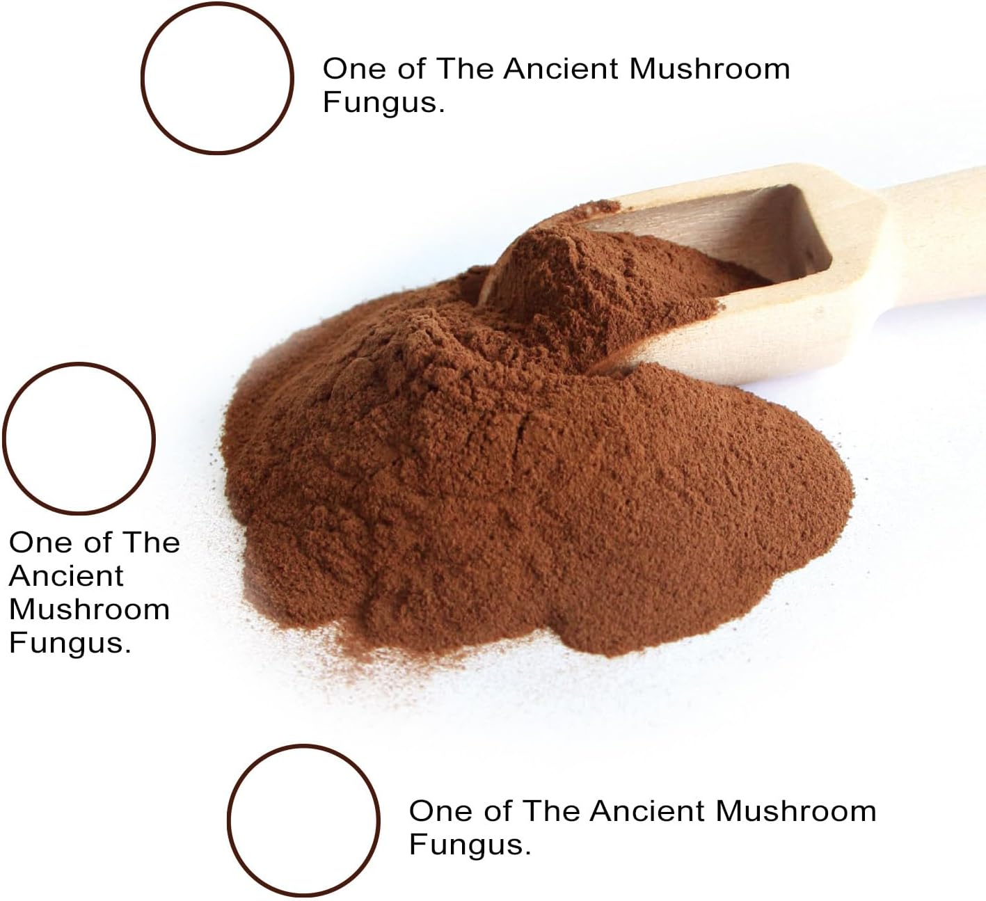 Patiosio Shilajit Powder - Pure Himalayan Supplement with 50% Fulvic Acid, Trace Minerals, Enhanced Energy, Immune Support - 200 Servings, 1.76oz