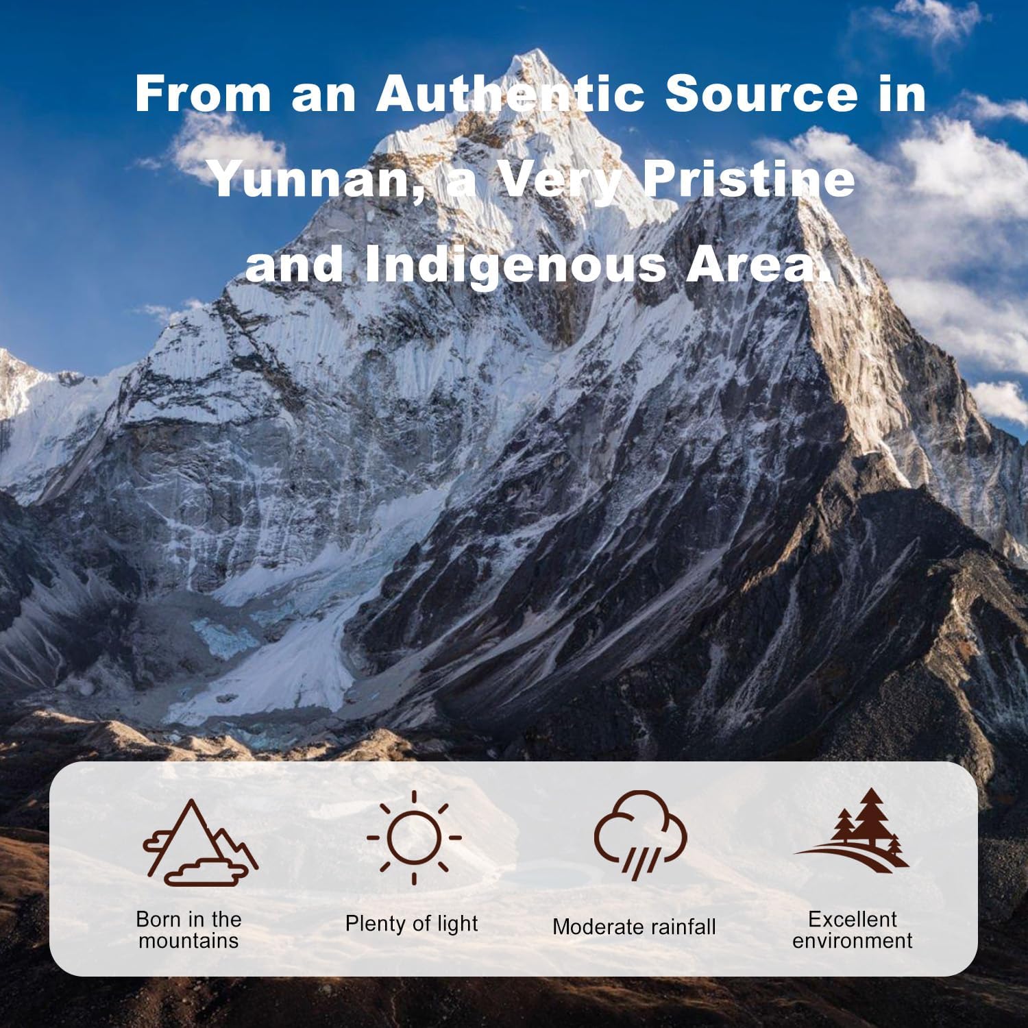 Patiosio Shilajit Powder - Pure Himalayan Supplement with 50% Fulvic Acid, Trace Minerals, Enhanced Energy, Immune Support - 200 Servings, 1.76oz