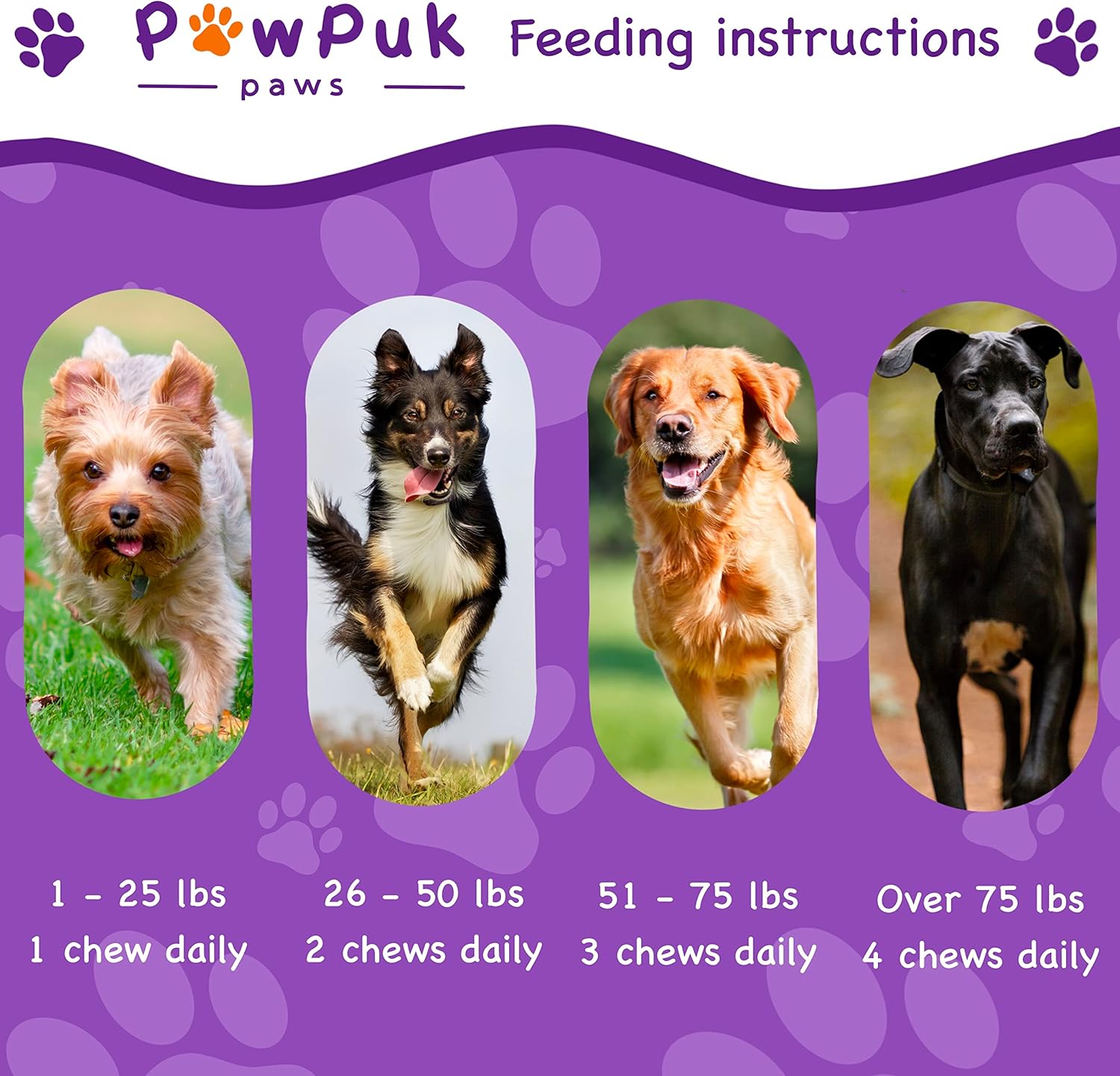 Pawpuk Paws Dog Supplements with Silymarin, Green Lipped Mussel, Glucosamine, MSM, Salmon Oil, Probiotics, Co-Q10, NMN - Immune & Gut Support, UTI Prevention, Radiant Skin & Coat