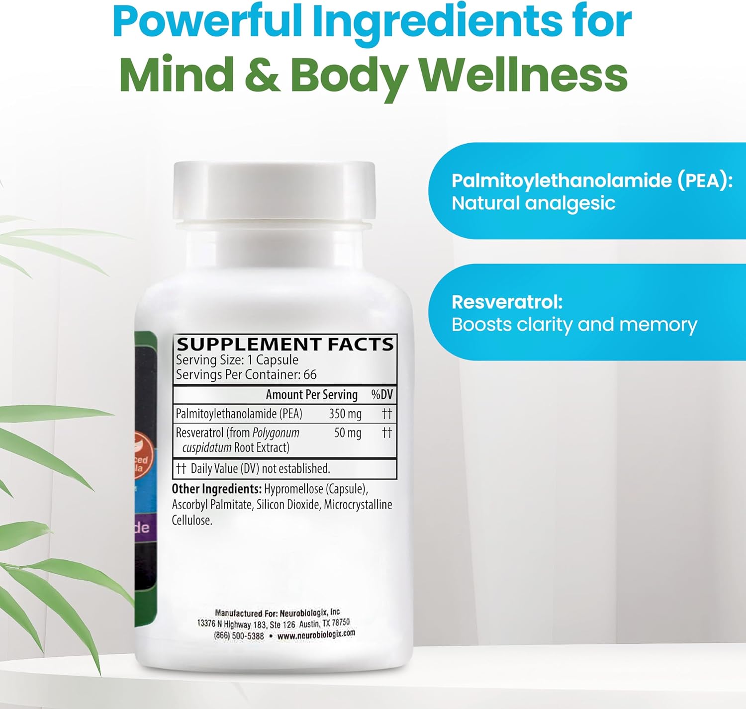 PEA Soothe Support Natural Relief Formula with Resveratrol - Promotes Nerve Function & Energy Balance