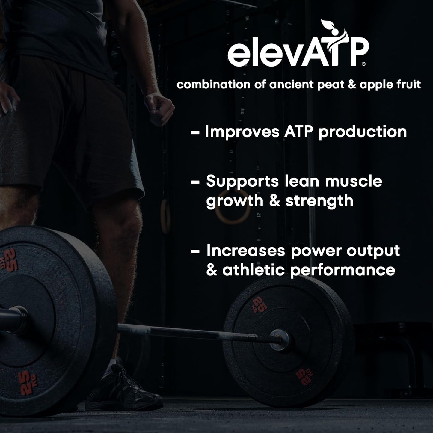 Peak Muscle Builder Capsules | Enhance Muscle Growth, Strength, & Performance | Peak02 & ElevATP Ingredients | 60 Count