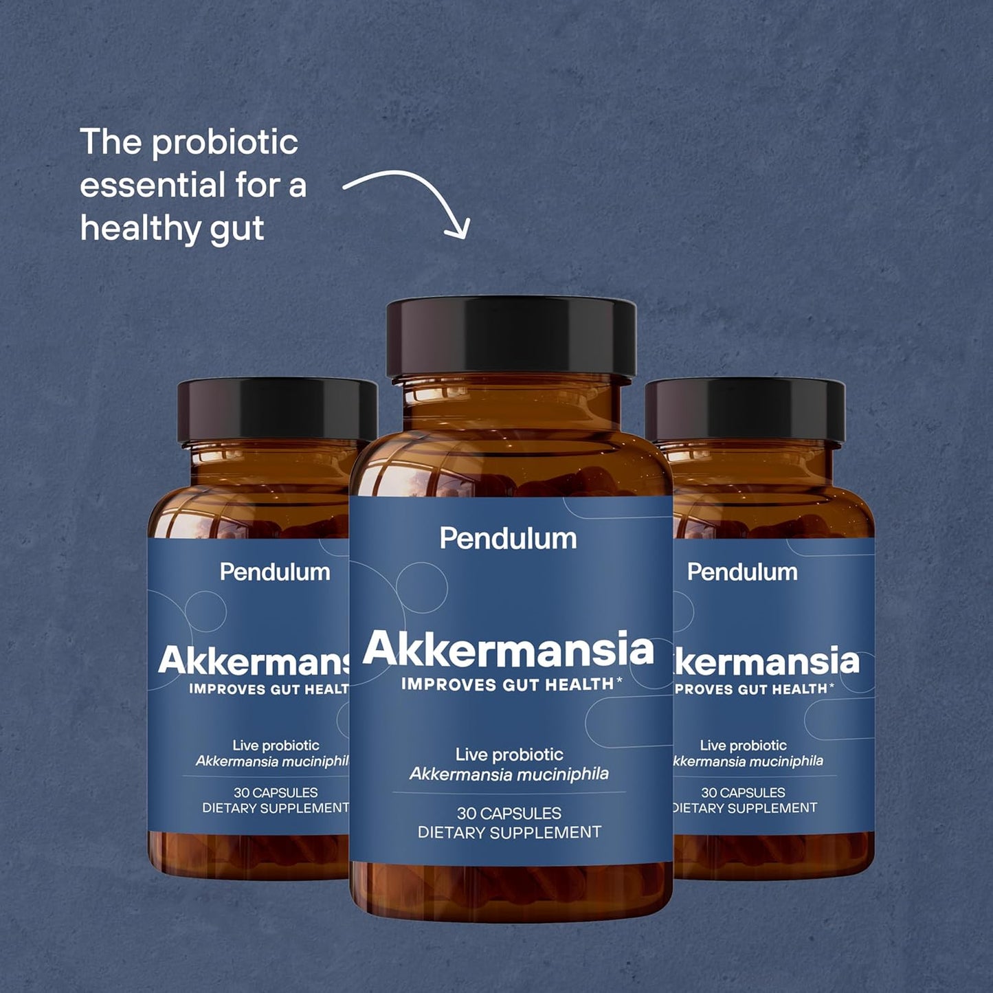 Pendulum Akkermansia Probiotic Capsules with Prebiotic Fiber - Third-Party Tested, 100M AFU Live Strain for Gut Health & GLP-1 Support - 90 Delayed Release Capsules for Men & Women