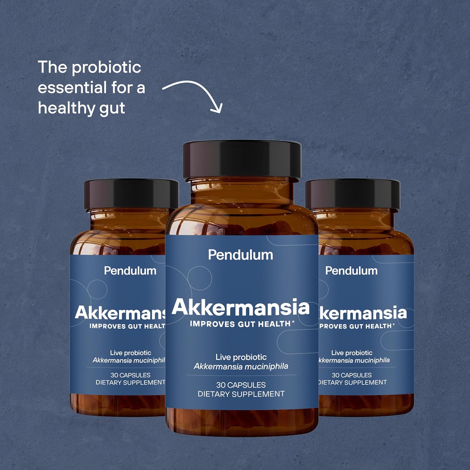 Pendulum Akkermansia Probiotic Capsules with Prebiotic Fiber - Third-Party Tested, 100M AFU Live Strain for Gut Health & GLP-1 Support - 90 Delayed Release Capsules for Men & Women