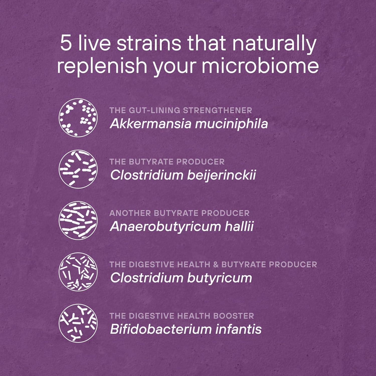 Pendulum Metabolic Daily Probiotic - Supports Metabolism and Energy - Women and Men - 30 Capsules