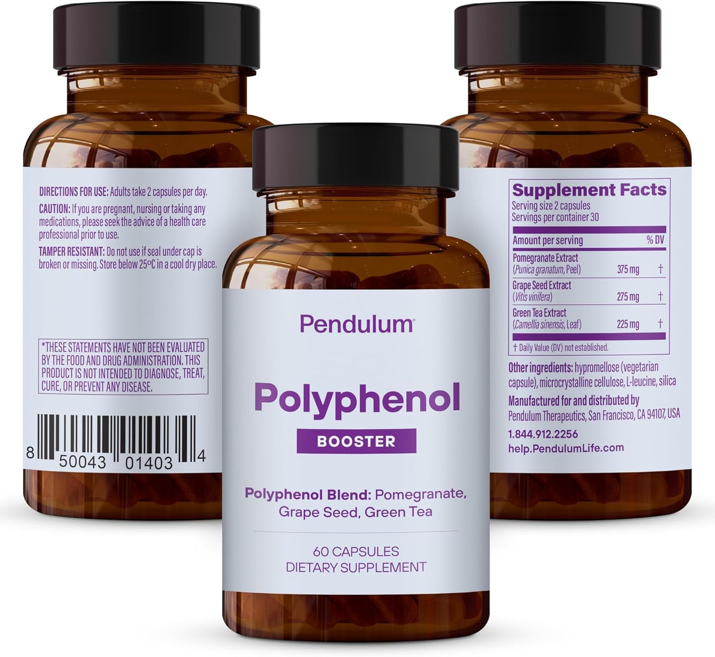 Pendulum Polyphenol Booster Capsules - Superfood Antioxidants for Men & Women - Supports Akkermansia Muciniphila - 60 Count