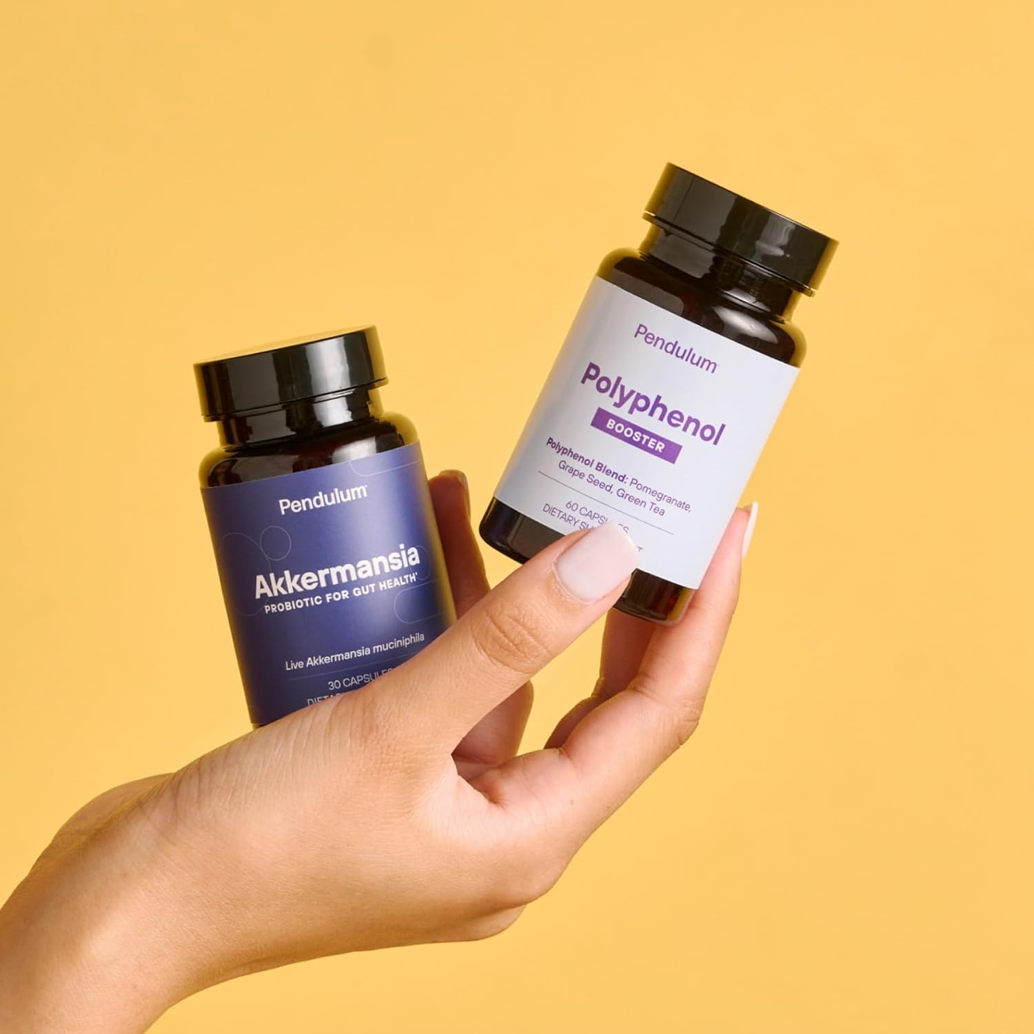 Pendulum Polyphenol Booster Capsules - Superfood Antioxidants for Men & Women - Supports Akkermansia Muciniphila - 60 Count