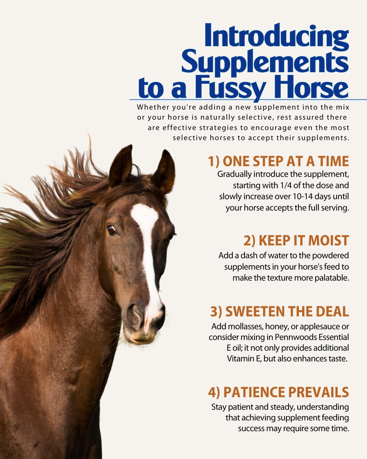 Pennwoods Organic Essential Mag Horse Supplement 5 LB - Magnesium for Horses, Supports Glucose Metabolism, Reduces Stress and Promotes Calmness