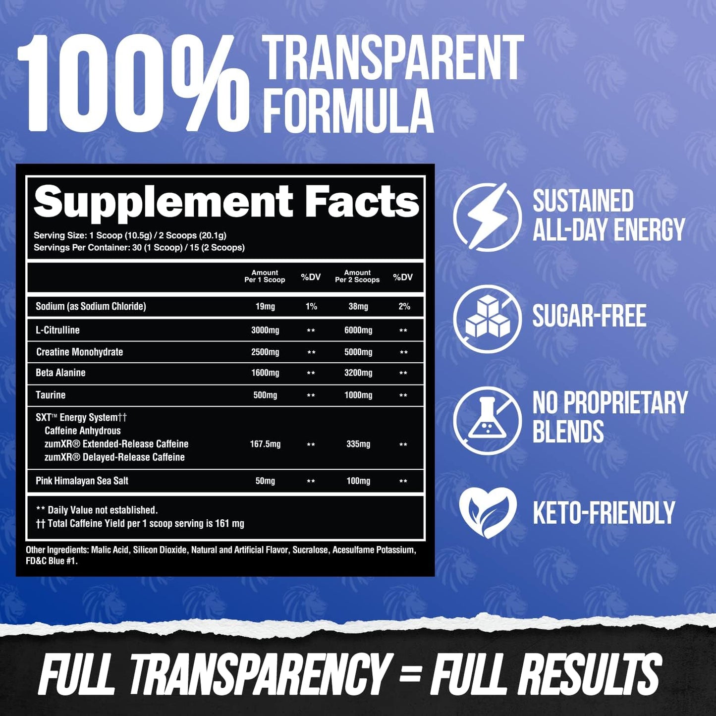 Performance-Enhancing Pre Workout Powder with Creatine, Beta Alanine, L-Citrulline, and Caffeine for Energy - Blue Raspberry Flavor (30 Servings)
