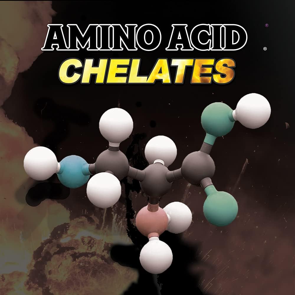 Performance Horse Supplement with Solid Fuel - Boost Adrenal Support & Endurance with Vitamins, Minerals, and Amino Acids