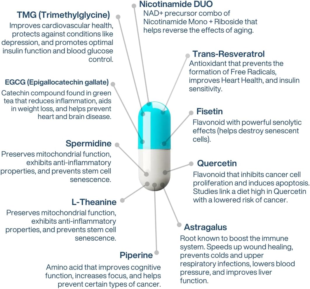 PERPETUA.LIFE Anti-Aging Supplement NAD+ Complex AEON with Nicotinamide Duo™, Fisetin, Quercetin, Resveratrol, TMG, Spermidine, Astragalus, L-Theanine, and More.