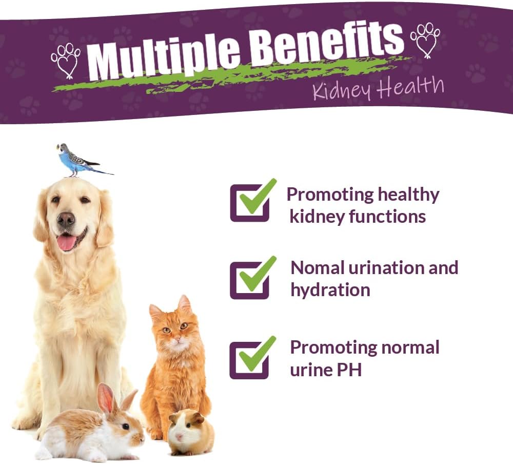 Pet Herbal Blend for Kidney Support | Kidney Rejuvenator Herbal Supplement for Dogs, Cats, Birds, Guinea Pigs, and Rabbits | 4oz Glass Bottle | Made in USA
