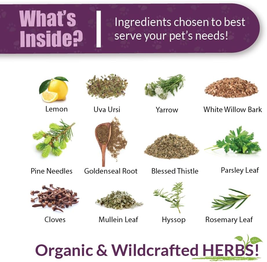 Pet Herbal Blend for Kidney Support | Kidney Rejuvenator Herbal Supplement for Dogs, Cats, Birds, Guinea Pigs, and Rabbits | 4oz Glass Bottle | Made in USA