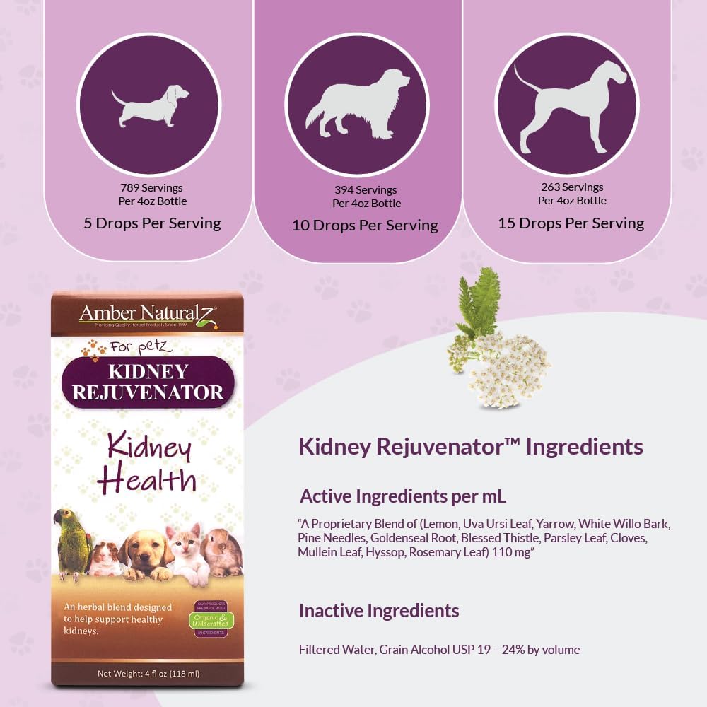 Pet Herbal Blend for Kidney Support | Kidney Rejuvenator Herbal Supplement for Dogs, Cats, Birds, Guinea Pigs, and Rabbits | 4oz Glass Bottle | Made in USA