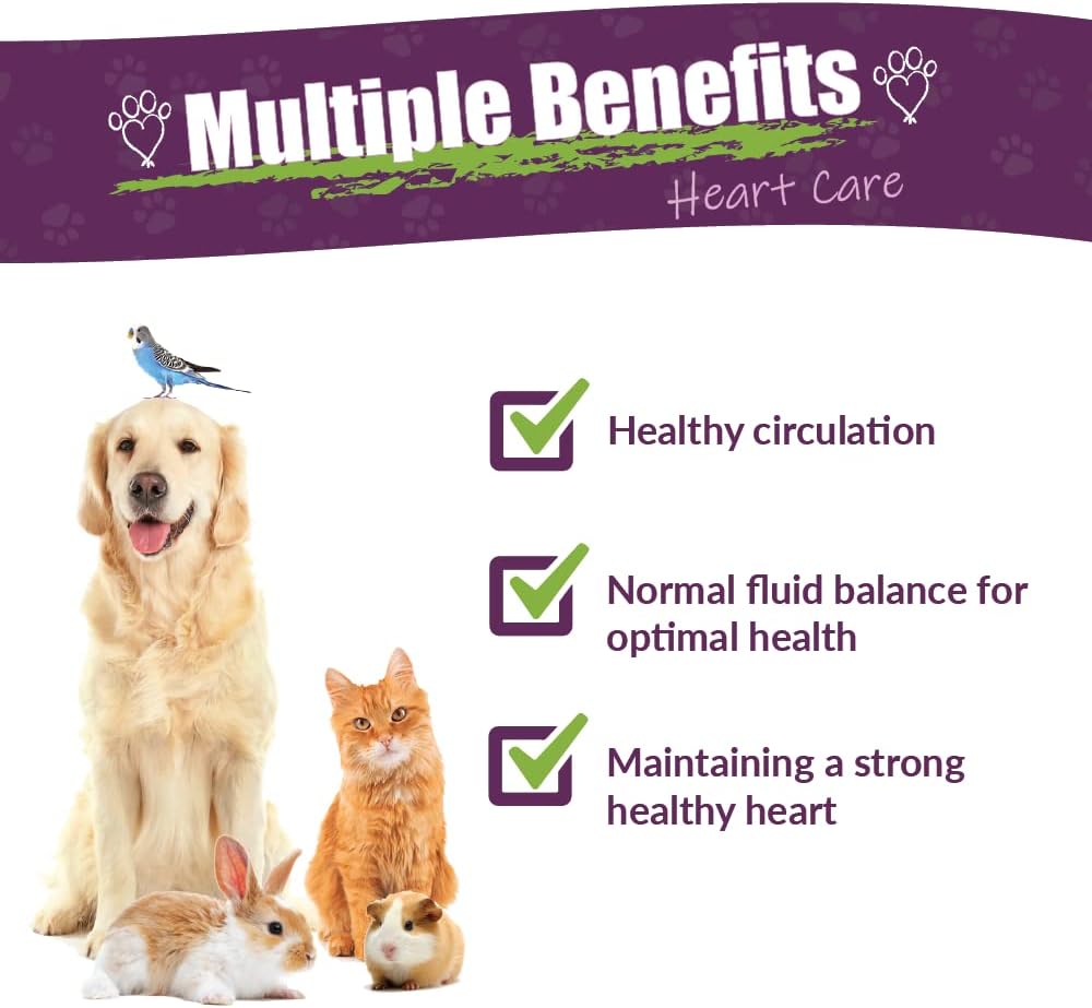 Pet Herbal Supplement for Heart Care - Amber NaturalZ Hawthorn and Dandelion | 4 oz Bottle | Made in USA