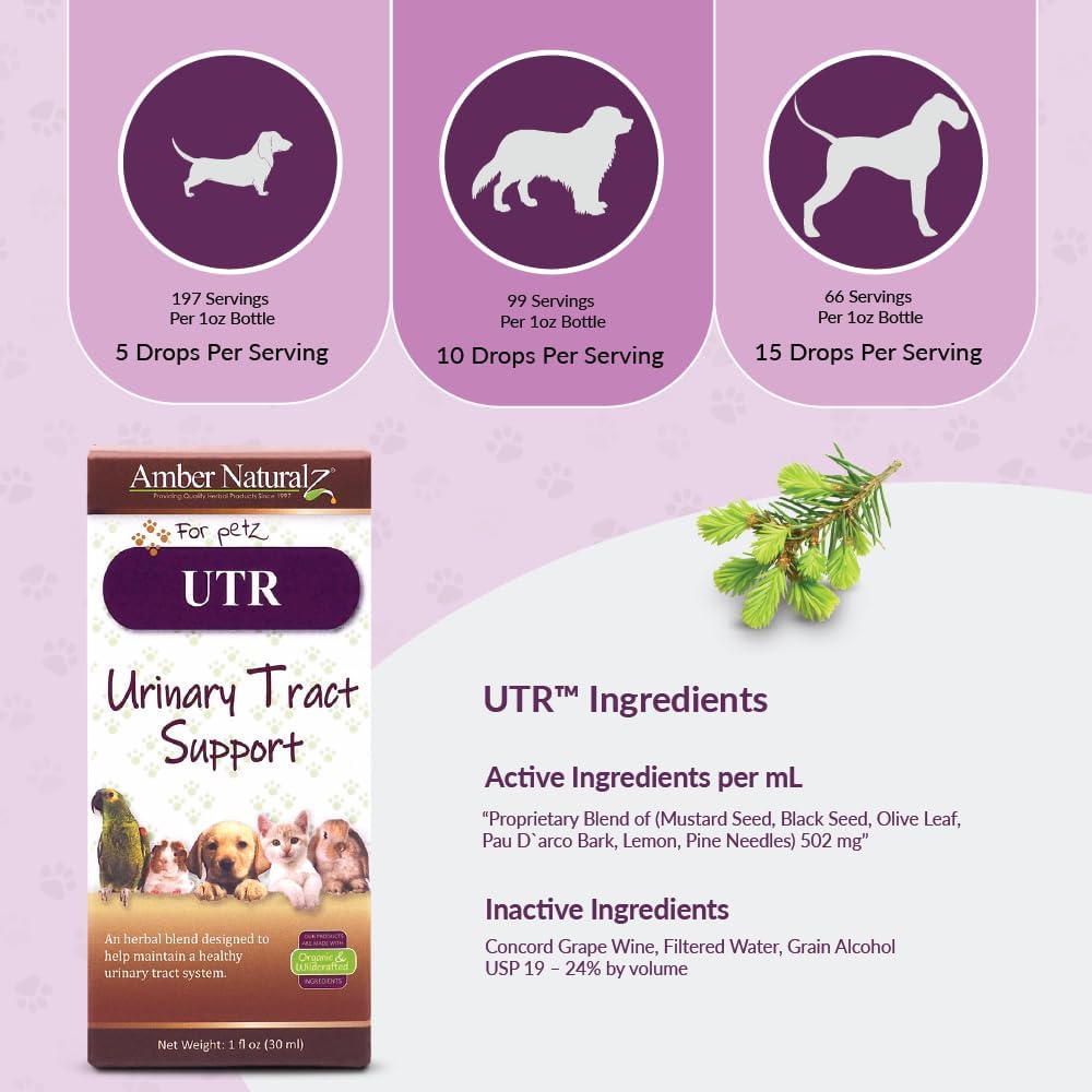 Pet Herbal Supplement for Urinary Tract Health - Supports Bladder Function in Dogs, Cats, Birds, Guinea Pigs, and Rabbits - 1oz Bottle - Made in USA