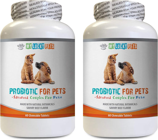 Pet Probiotic Digestive Enzymes for Dogs and Cats - Improve Digestion, Bad Breath, and Diarrhea - Lactobacillus Salivarius - 2 Bottles (120 Treats)
