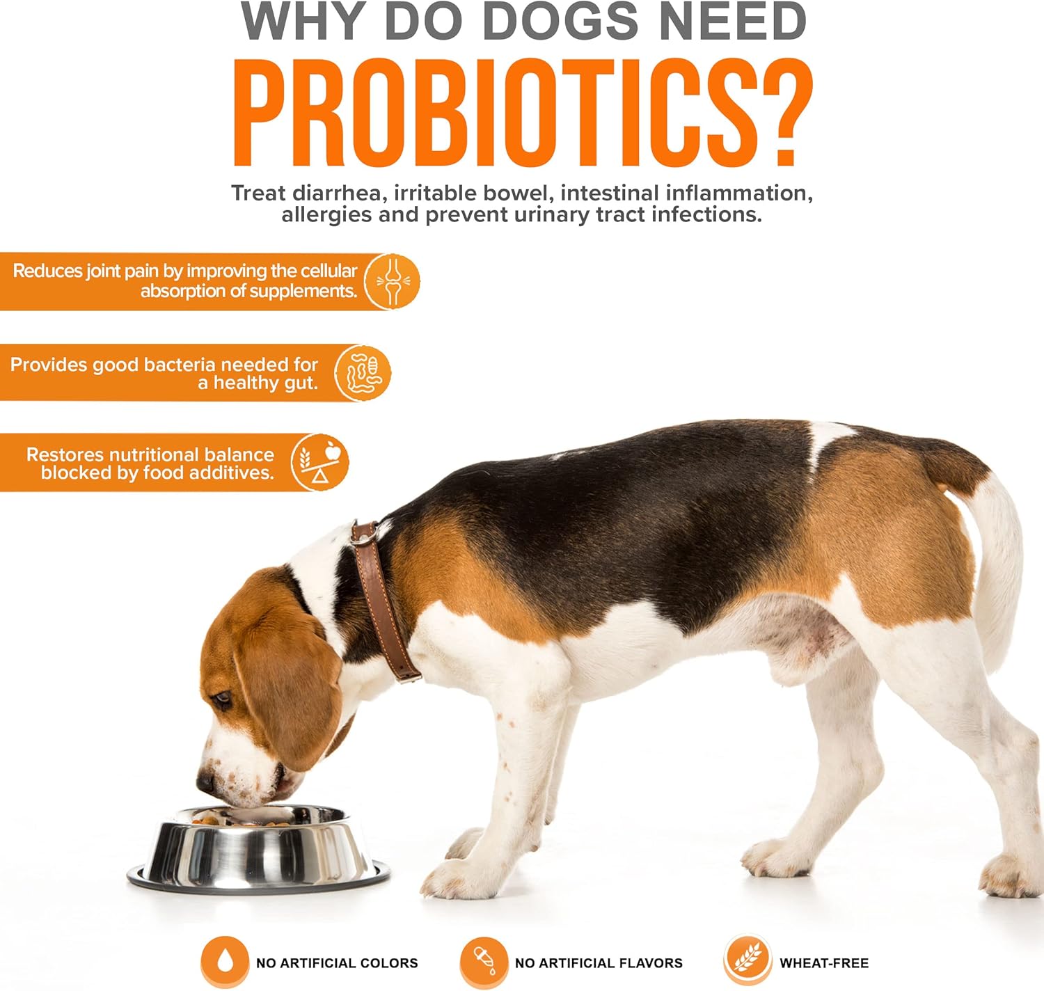 Pet Probiotic Supplement for Dogs - Supports Digestive Enzymes & Nutrient Absorption - 15 Billion Active Cultures Prevent Inflammation & Infection