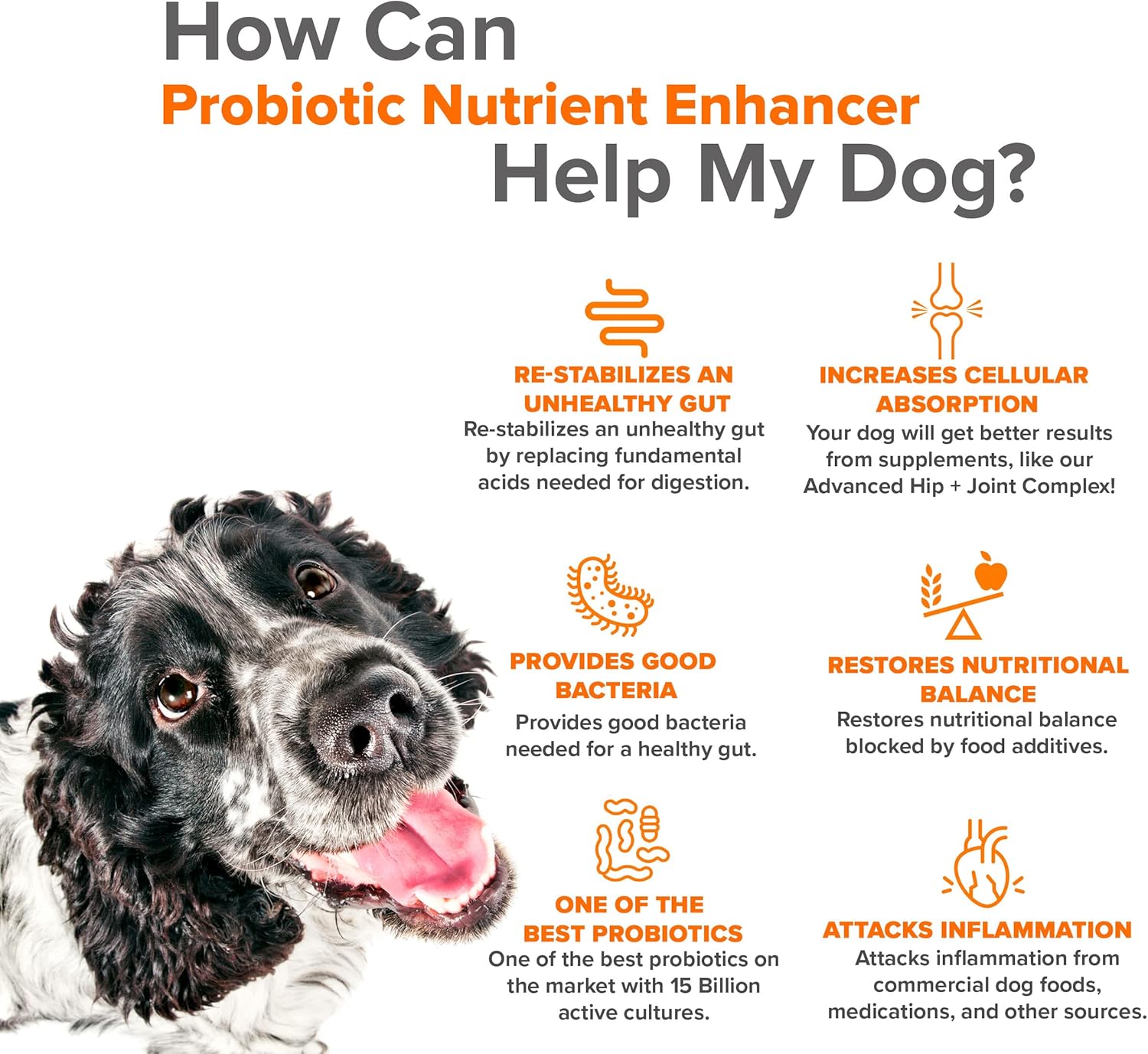 Pet Probiotic Supplement for Dogs - Supports Digestive Enzymes & Nutrient Absorption - 15 Billion Active Cultures Prevent Inflammation & Infection