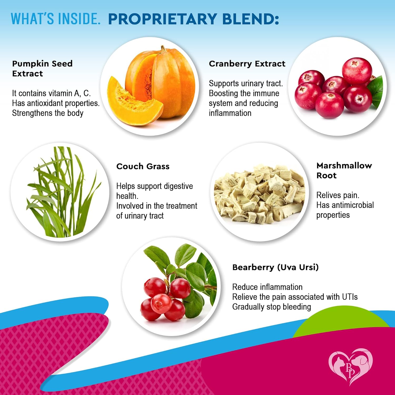 Pet Urinary Tract Infection Treatment with Cranberry - Natural UTI Medicine for Cats & Dogs - Support for Kidney, Bladder, and Renal Health - Prevent Incontinence and Bladder Stones