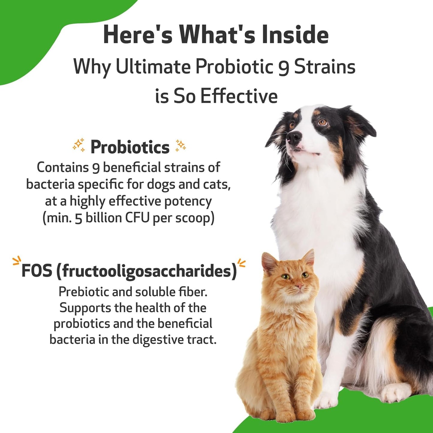 Pet Wellbeing Ultimate Probiotic Powder for Dogs & Cats - 9 Strains, 2.5 Billion CFU, Gut & Immune Support - 11.29 oz