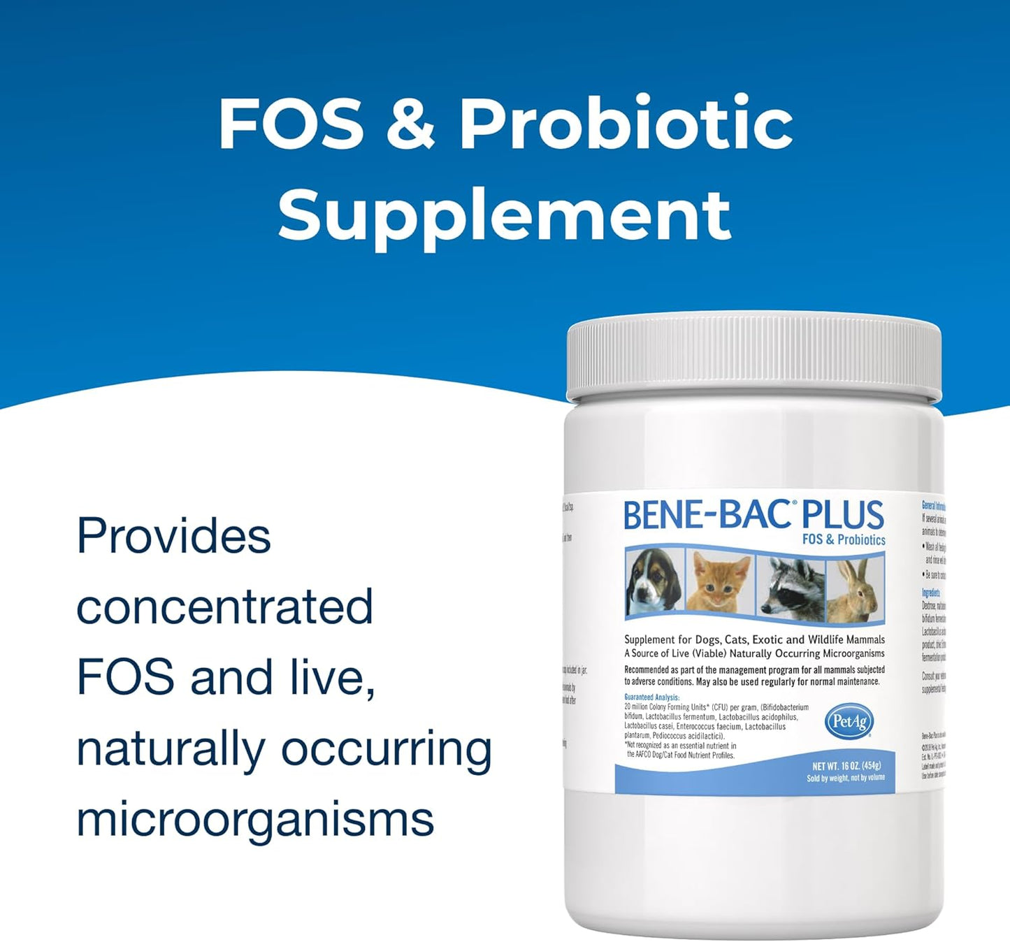 PetAg Bene-Bac Plus Powder - 1 lb with FOS & Probiotics for Dogs, Cats, Exotic & Wildlife Mammals