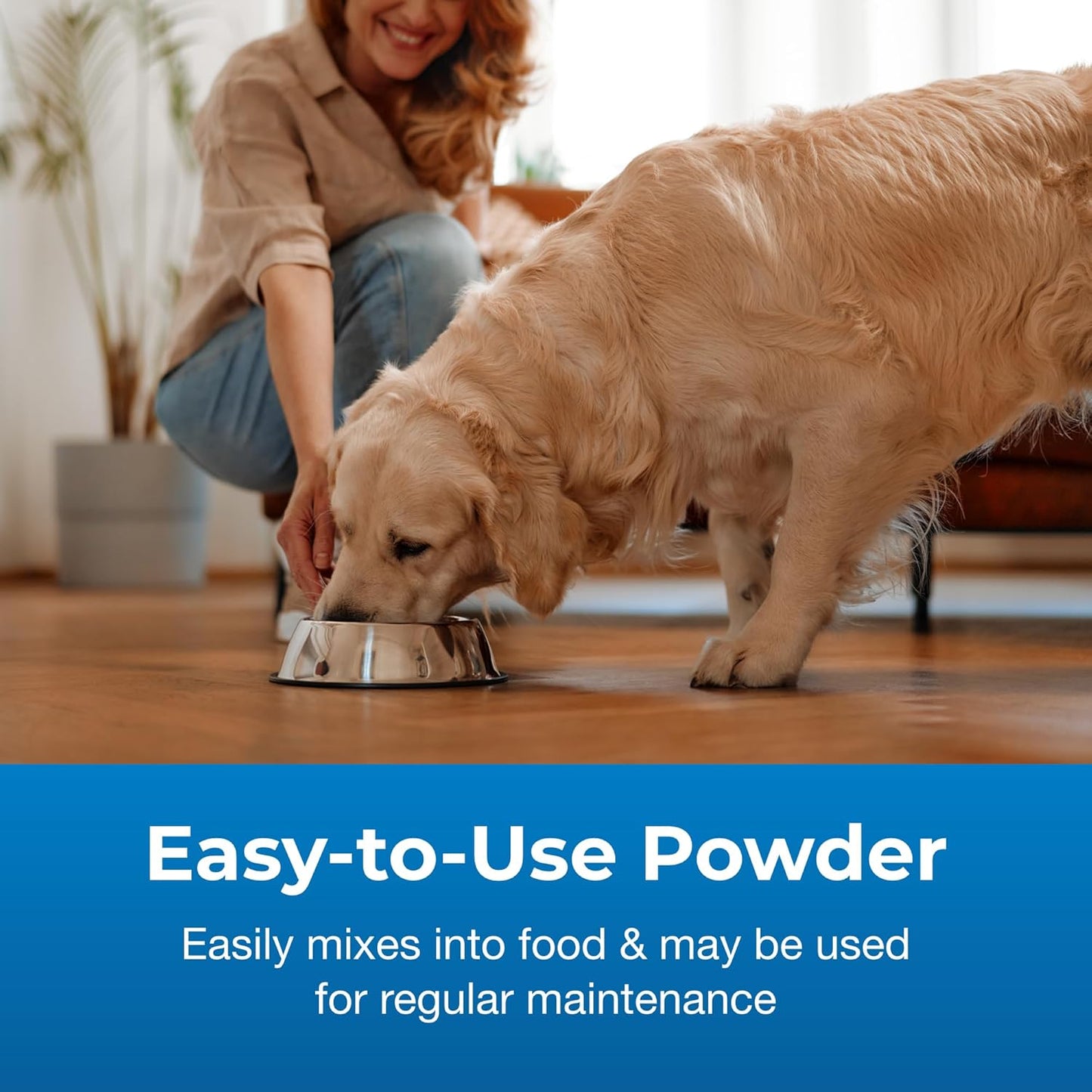 PetAg Bene-Bac Plus Powder - 1 lb with FOS & Probiotics for Dogs, Cats, Exotic & Wildlife Mammals