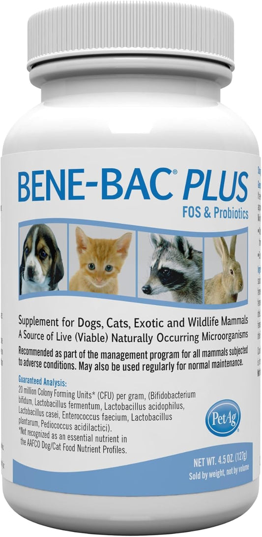 PetAg Pet-Ag Bene-Bac Plus Powder for Dogs, Cats, Exotic & Wildlife Mammals - 4.5 oz with FOS & Probiotics