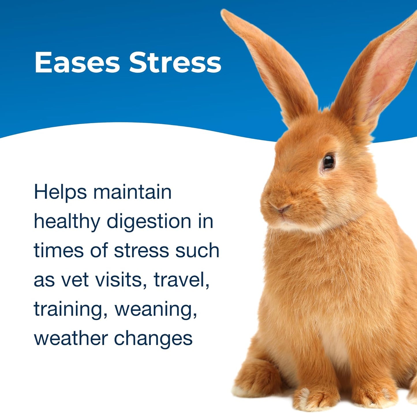 PetAg Pet-Ag Bene-Bac Plus Powder for Dogs, Cats, Exotic & Wildlife Mammals - 4.5 oz with FOS & Probiotics