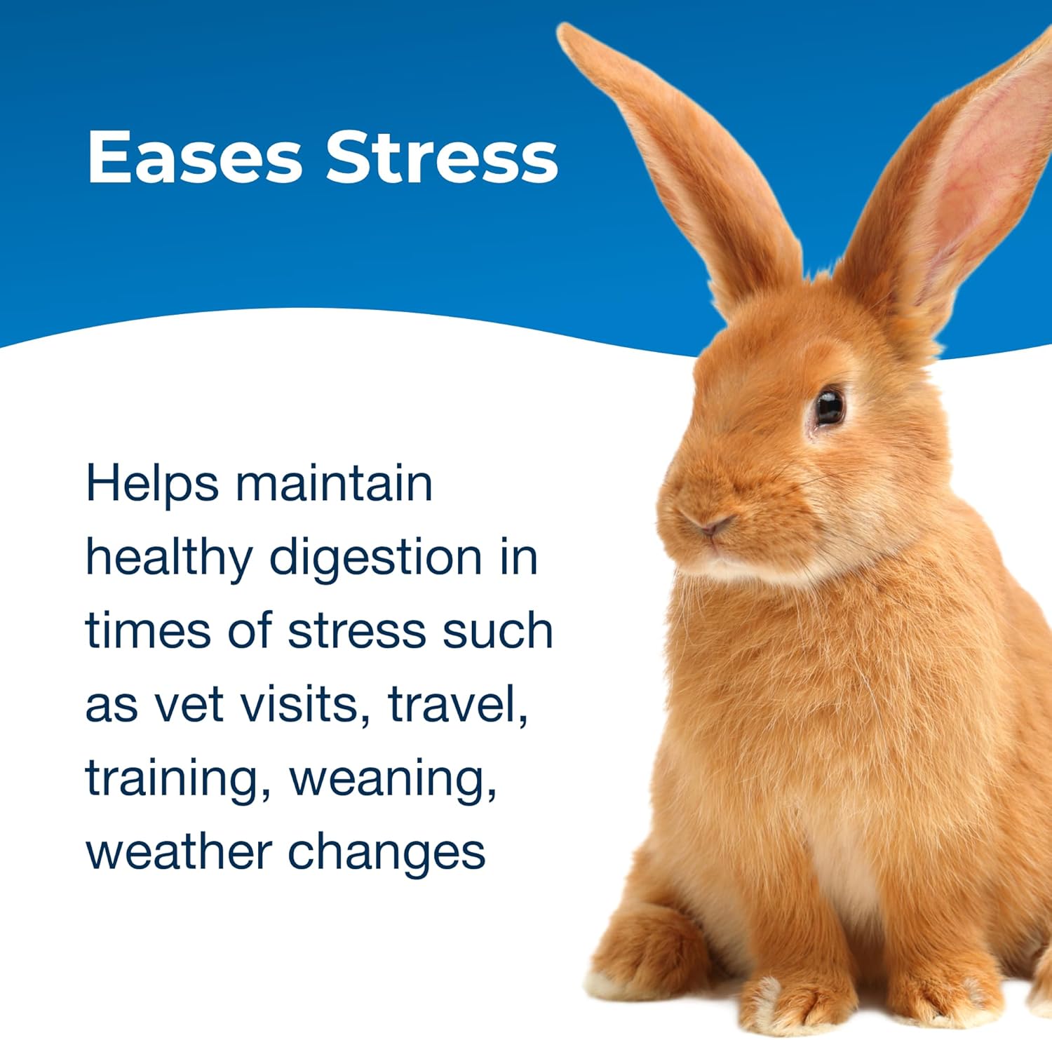 PetAg Pet-Ag Bene-Bac Plus Powder for Dogs, Cats, Exotic & Wildlife Mammals - 4.5 oz with FOS & Probiotics