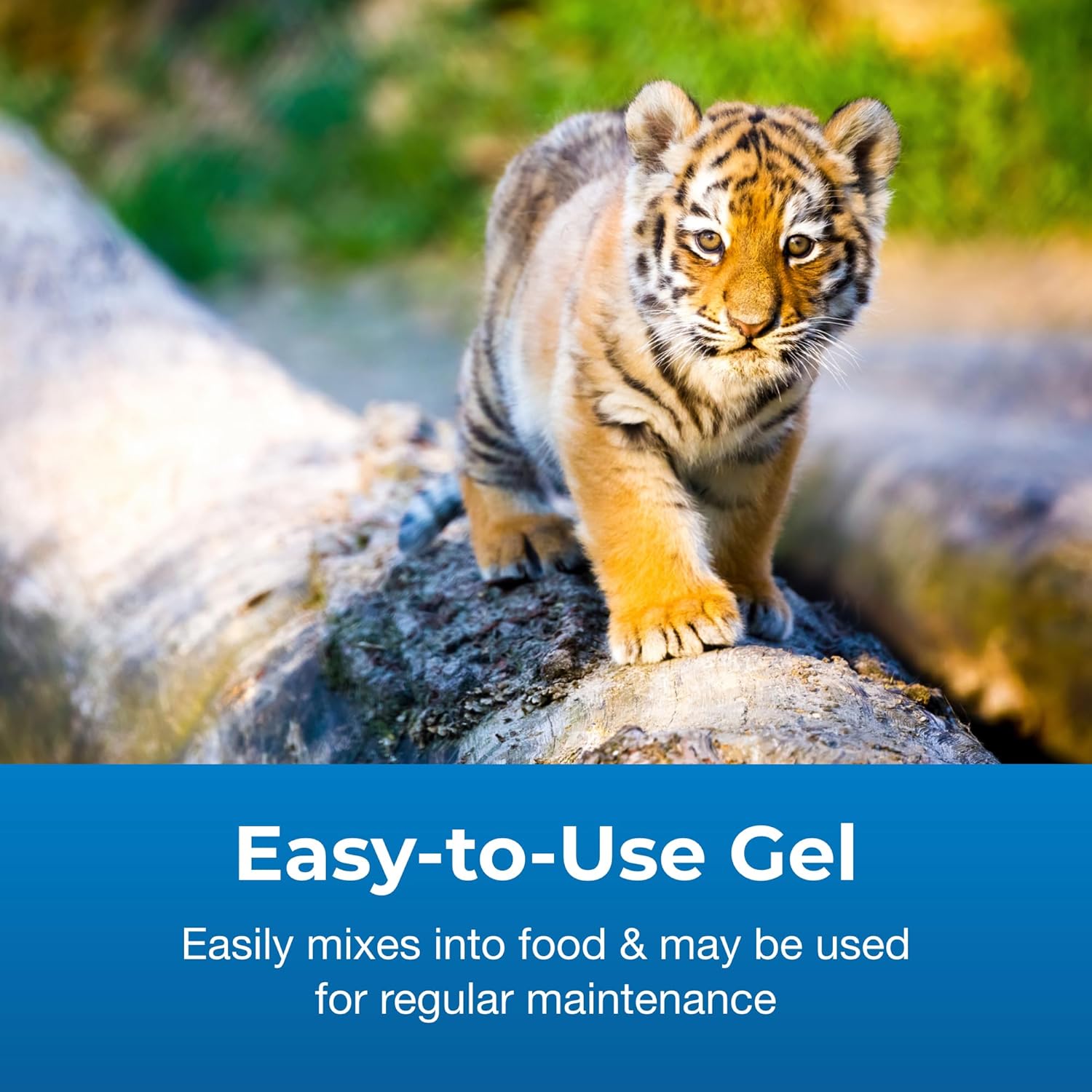 PetAg Zoologic Bene-Bac Plus Mammal Gel - 30 gm Syringe - Probiotics for Dogs, Cats, Exotic Mammals