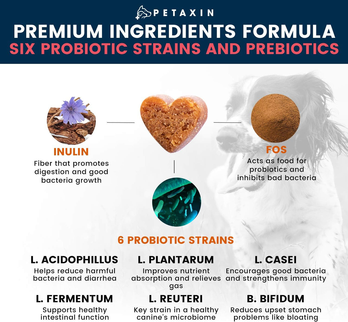 Petaxin Probiotic Chews for Dogs - 6 Strains with Prebiotics - Supports Digestive and Immune Health - Relief for Diarrhea, Bad Breath, Allergies, Gas, Constipation, Hot Spots - USA Made - 360 Chews