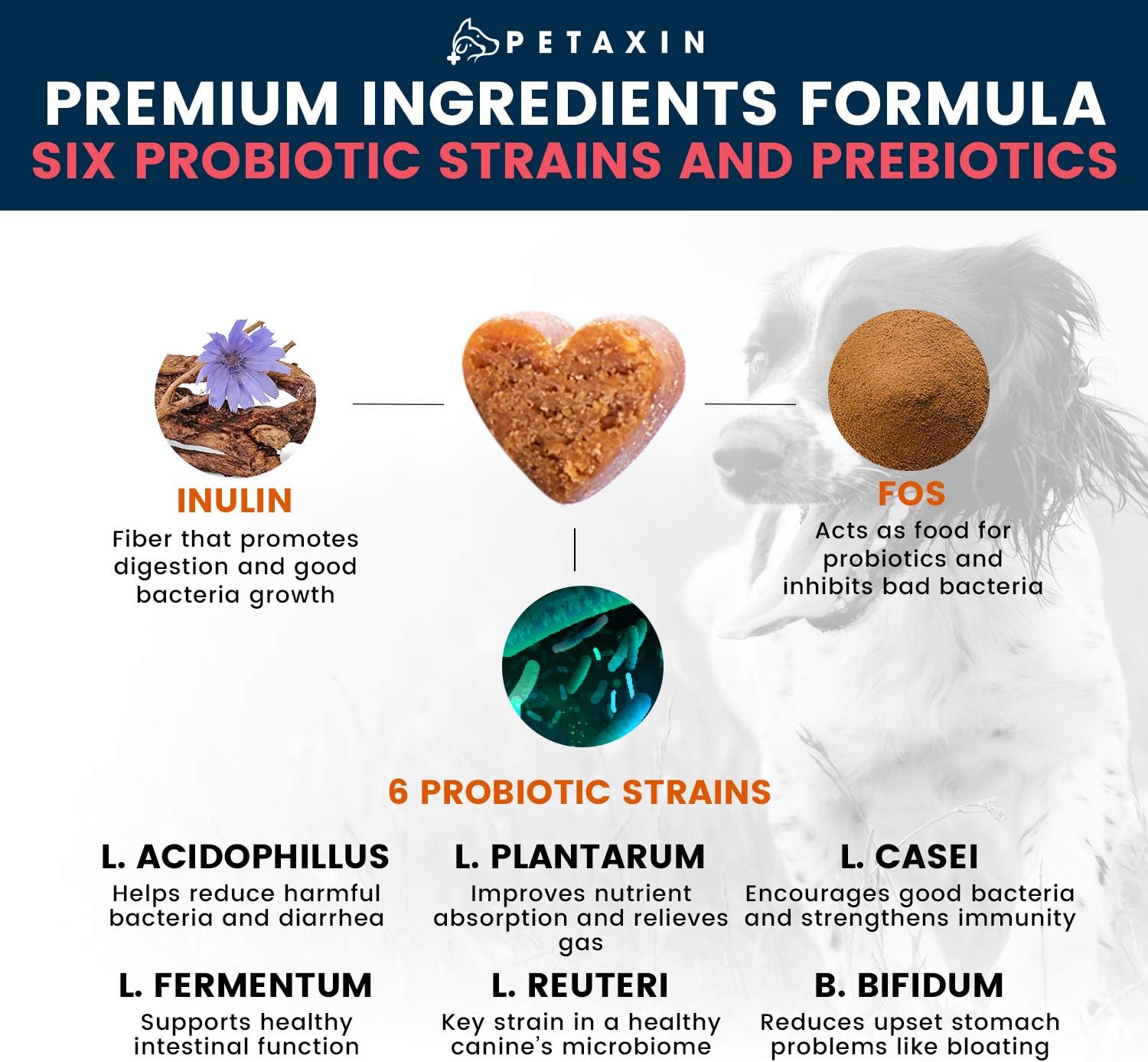 Petaxin Probiotic Chews for Dogs - 6 Strains with Prebiotics - Supports Digestive and Immune Health - Relief for Diarrhea, Bad Breath, Allergies, Gas, Constipation, Hot Spots - USA Made - 360 Chews