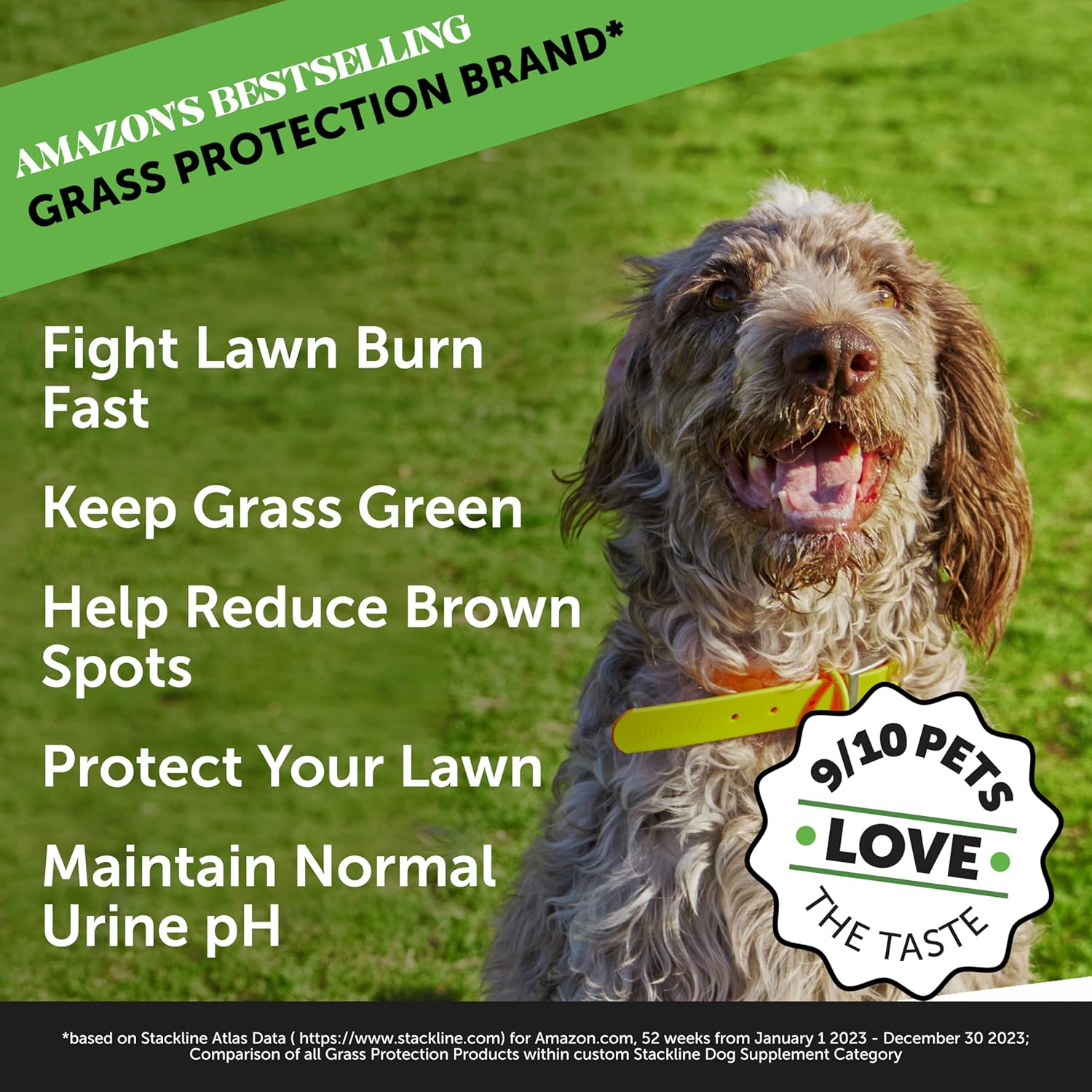 PetHonesty Grass Green Max Strength Burn Spot Chews for Dogs - Premium Formula to Prevent Dog Urine Spots - Supports Digestion - 90ct