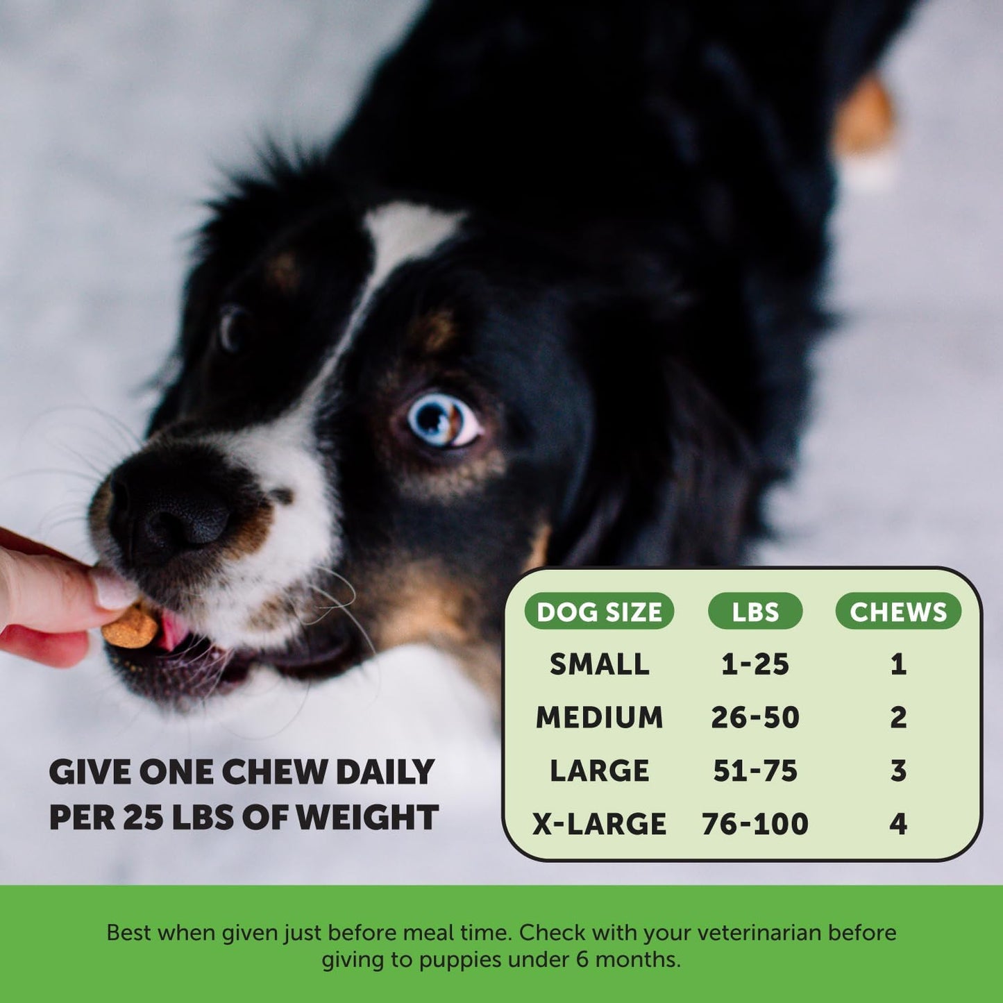 PetHonesty Grass Green Max Strength Burn Spot Chews for Dogs - Premium Formula to Prevent Dog Urine Spots - Supports Digestion - 90ct