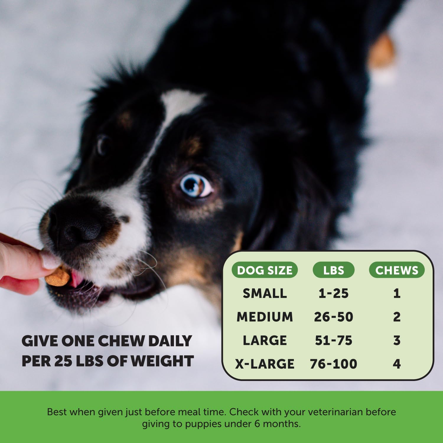 PetHonesty Grass Green Max Strength Burn Spot Chews for Dogs - Premium Formula to Prevent Dog Urine Spots - Supports Digestion - 90ct