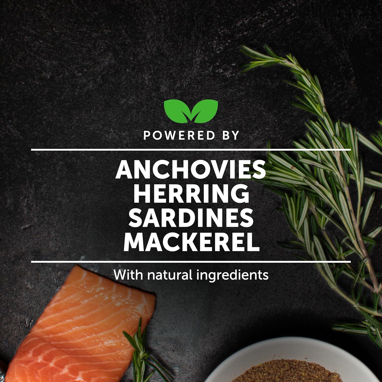 PetHonesty Omega 3 Fish Oil Supplement for Dogs & Cats - 32oz, Skin & Coat Health, Immunity, Joint & Heart Support