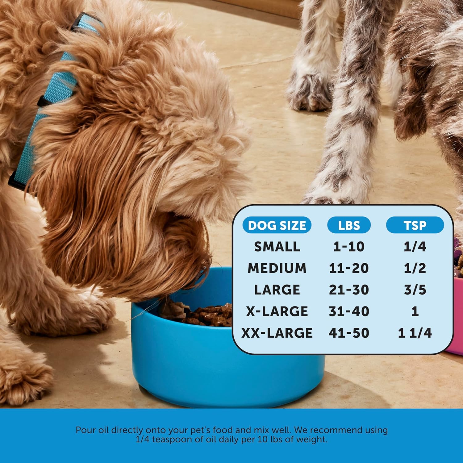 PetHonesty Omega 3 Fish Oil Supplement for Dogs & Cats - 32oz, Skin & Coat Health, Immunity, Joint & Heart Support