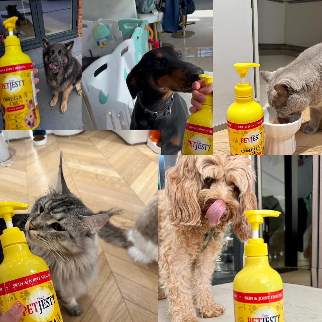 PetJesty Pure Omega 3 Oil for Dogs & Cats - Skin & Coat Support - Liquid Supplement - Vegan DHA for Joint, Immune, & Heart Health - Non Fish Oil