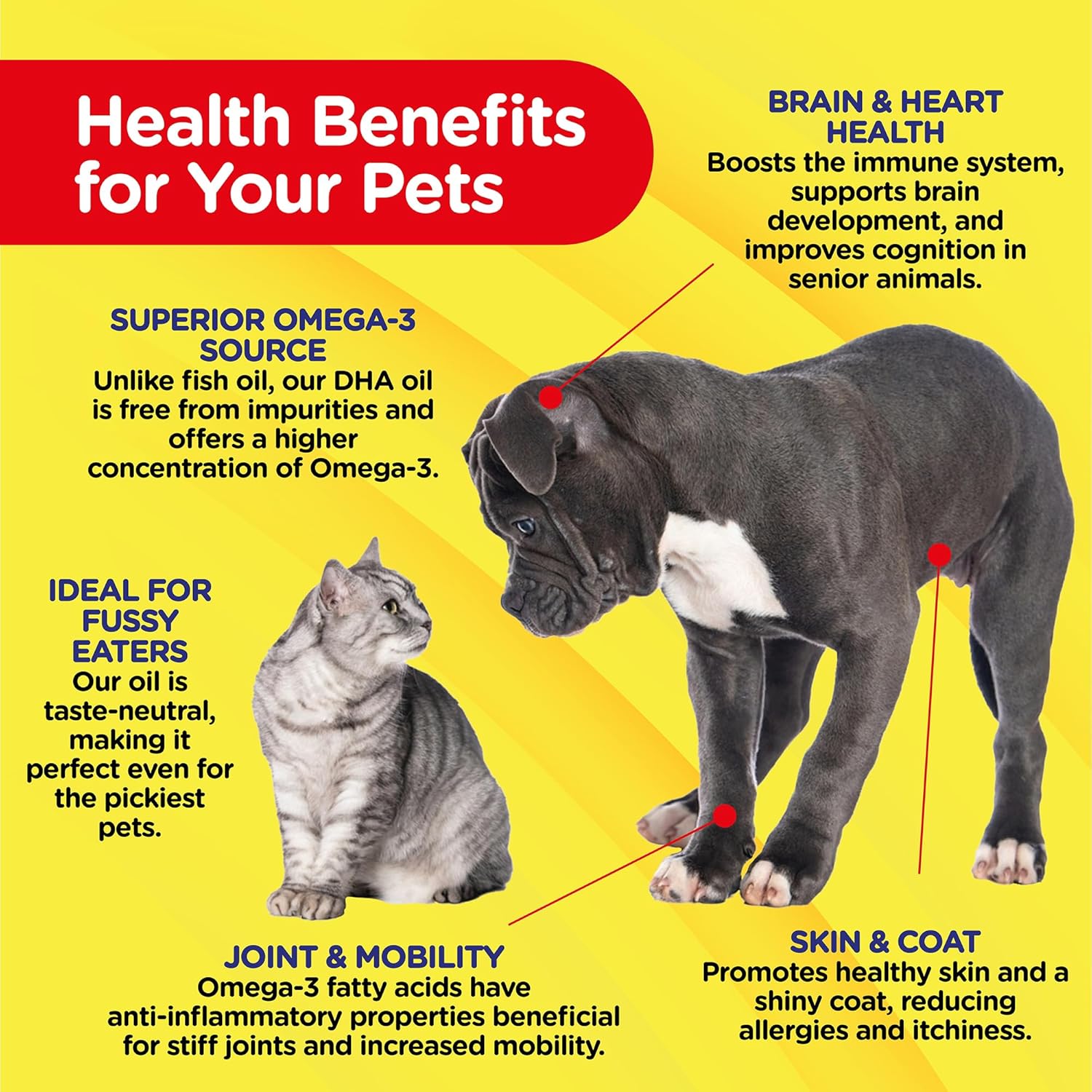 PetJesty Pure Omega 3 Oil for Dogs & Cats - Skin & Coat Support - Liquid Supplement - Vegan DHA for Joint, Immune, & Heart Health - Non Fish Oil