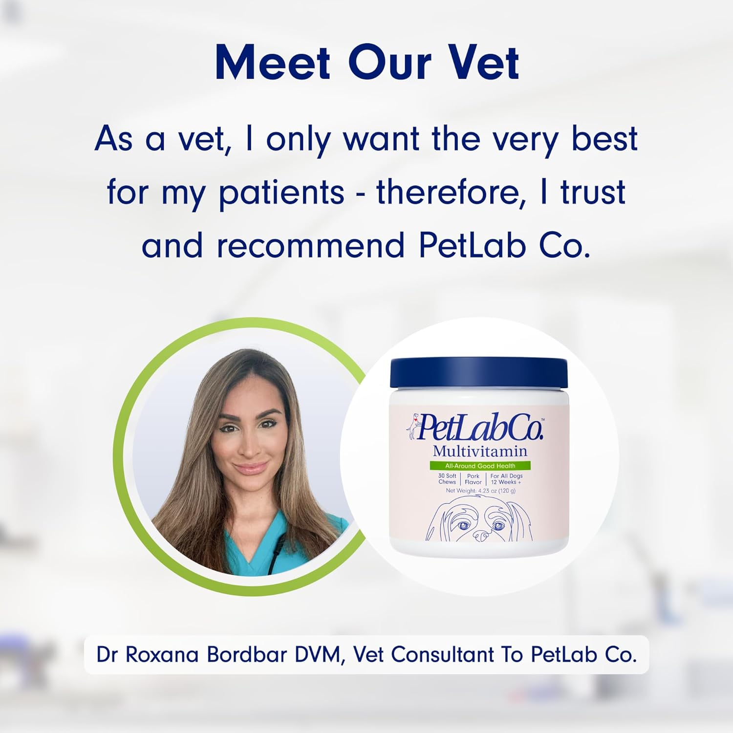 PetLab Co. 22 in 1 Dog Multivitamin - Boost Immune System, Skin, Coat, Joints & Health - Chewable Pork Flavored Supplement with Vitamins & Minerals
